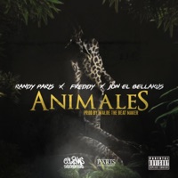 Animales - Single - Randy Paris, Freddy & Jon el Bellakus