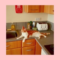 Thought Process - Single - Two to a Room