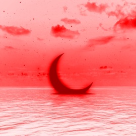 Ocean TripppyTha13th