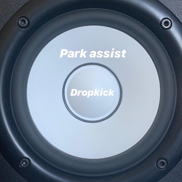Park assist