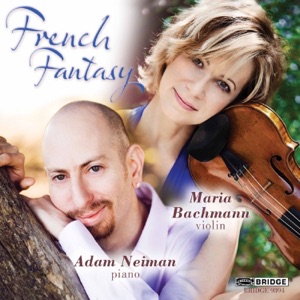 Violin Sonata No. 1 in D Minor, Op. 75, R. 123: IIb. Allegro molto