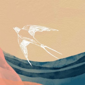 King of Every Sky - Single