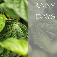 - Splashing Rain
