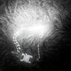 1017B!TCH - Single