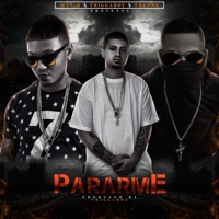 Pararme (feat. Theory Lfm & Triggaboy) - Single - Man-D el Trastorno