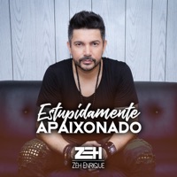 Estupidamente Apaixonado - Single - Zéh Enrique