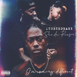 UpNorth FreeStyle ItsByrdBaby