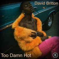Too Damn Hot - Single - David Britton