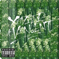 Paper Lotus - Single - Xavier Vincent