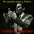 Amore Scusami