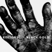 Black Gold : Best of Editors artwork