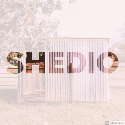 Shedio (feat. Murda B & G-Town BlackTrab) - Single