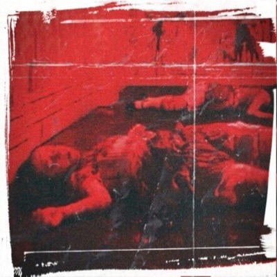 Shots Fired (feat. Young Fella) - Single