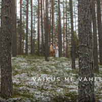 Linalakk - Vaikus Me Vahel