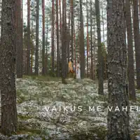 Vaikus Me Vahel — Linalakk