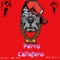 Perro Callejero (feat. RDGZ Musiic) - Raider TNK 913 lyrics