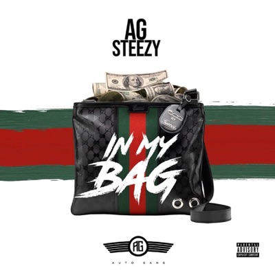 In My Bag - Single