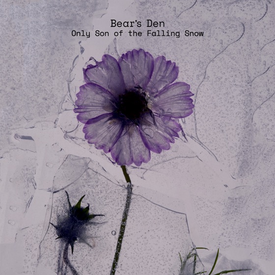Cover artwork for Only Son of the Falling Snow