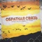 Обратная связь (feat. TRUEтень) - Ира PSP & Давайте Жить Дружно lyrics