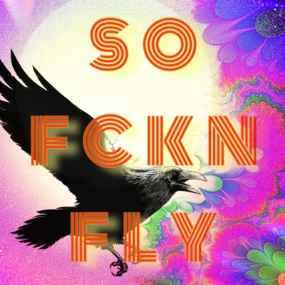 So Fckn Fly (feat. Mike Lee) - Single