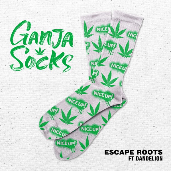 Ganja Socks (feat. Dandelion) - Single