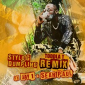 Dumpling (feat. JAY1 & Sean Paul) [Toddla T Remix] artwork