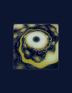 Escucha a Meerkat, mira videos musicales, lee su biografía, consulta las fechas de las gira y más.