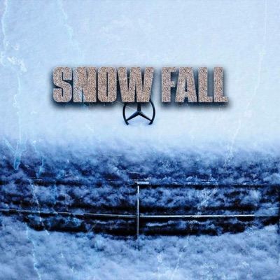 Snowfall (feat. 33OHBiggz) - Single