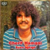 Cherif Hamani Atan Ayen bghigh