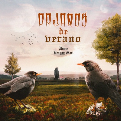 Pájaros de Verano (feat. Braggy Marl) - Single