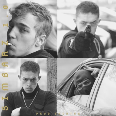 Simbarz 1.0 - Single