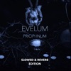 Volo Volo (Slowed & Reverb) Pricipi Inum (Slowed & Reverb Edition)