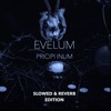 Evelum