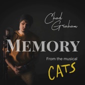 Memory (From the Musical Cats) artwork