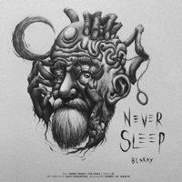 Never Sleep (feat. Kenny Siegel & Kid Vishis) - Single - Blnkay