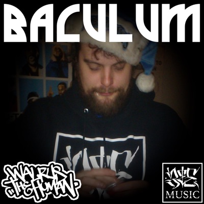 Baculum