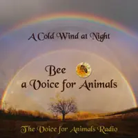 A Cold Wind at Night — Michael Leasure