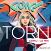 Torn (Cirkut DJ Mix) - Single