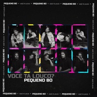 Você Tá Louco? - Single - Pequeno Bo