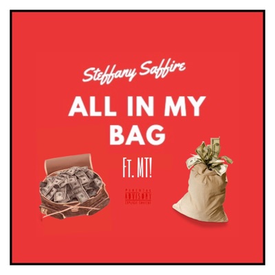 All in My Bag (feat. MT!) - Single