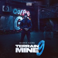 Terrain miné 9 - Single - Raous gang
