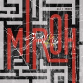 Stray Kids - MIROH