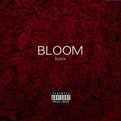 Bloom - EP
