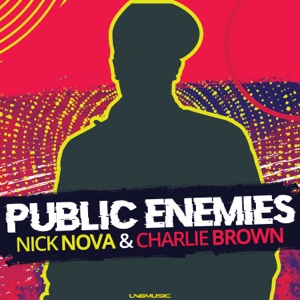 Public Enemies - Single