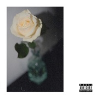 Grayskull - Single - Nadel & Tacho