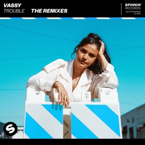 Trouble Remixes