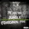 African Jungle (feat. Toxic Musiq & Senzo SkyBoy) - Vine Muziq lyrics