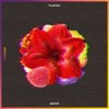 Above - Single