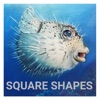 Square Shapes