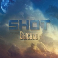 Высоко - Single - Shot